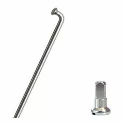 Maxxus Rayon Avec écrou Pour Roue 20'' Remorque Vélo